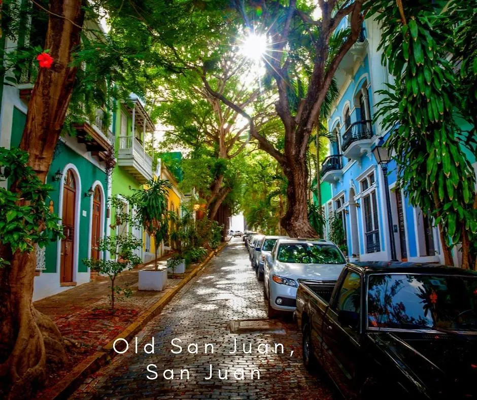 Bee Inn Puerto Rico Charming Urban Apartment In San Juan